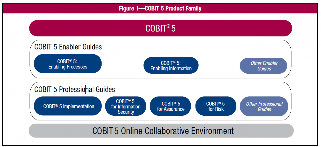 COBIT Framework